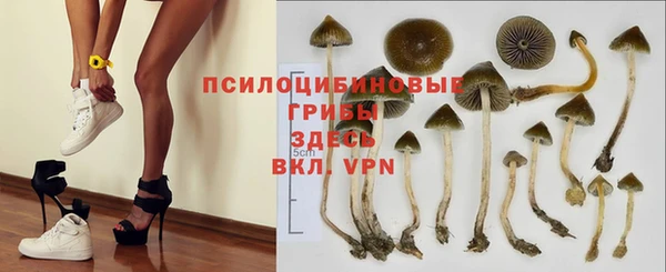 PSILOCYBIN Алзамай