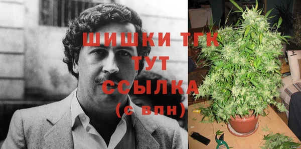 PSILOCYBIN Алзамай