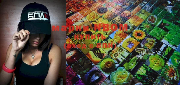 PSILOCYBIN Алзамай